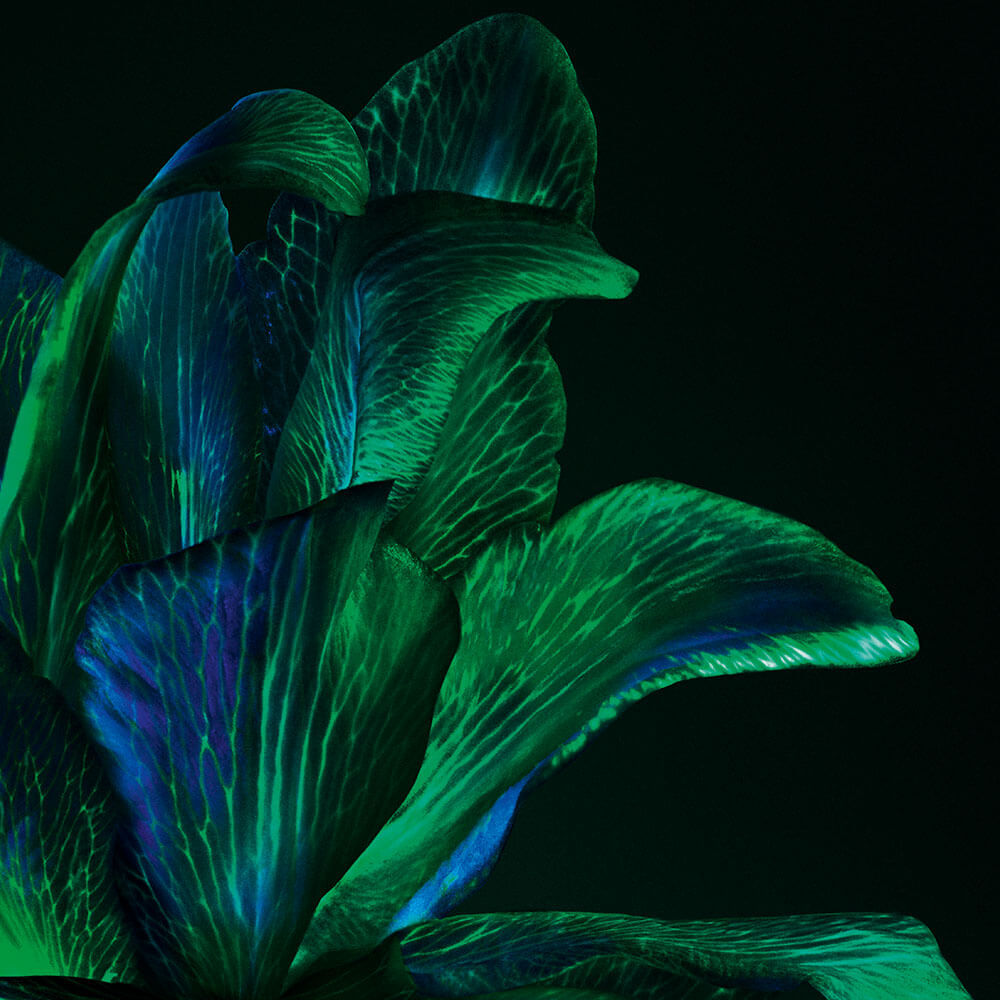 Powercell Skin Rehab - Youth Grafter Regenerating Night Serum