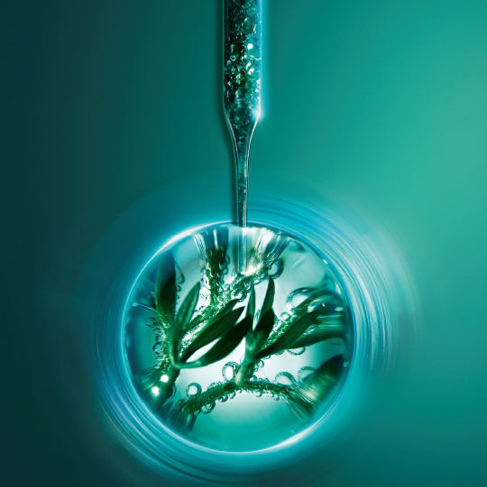 Powercell Skinmunity Essence